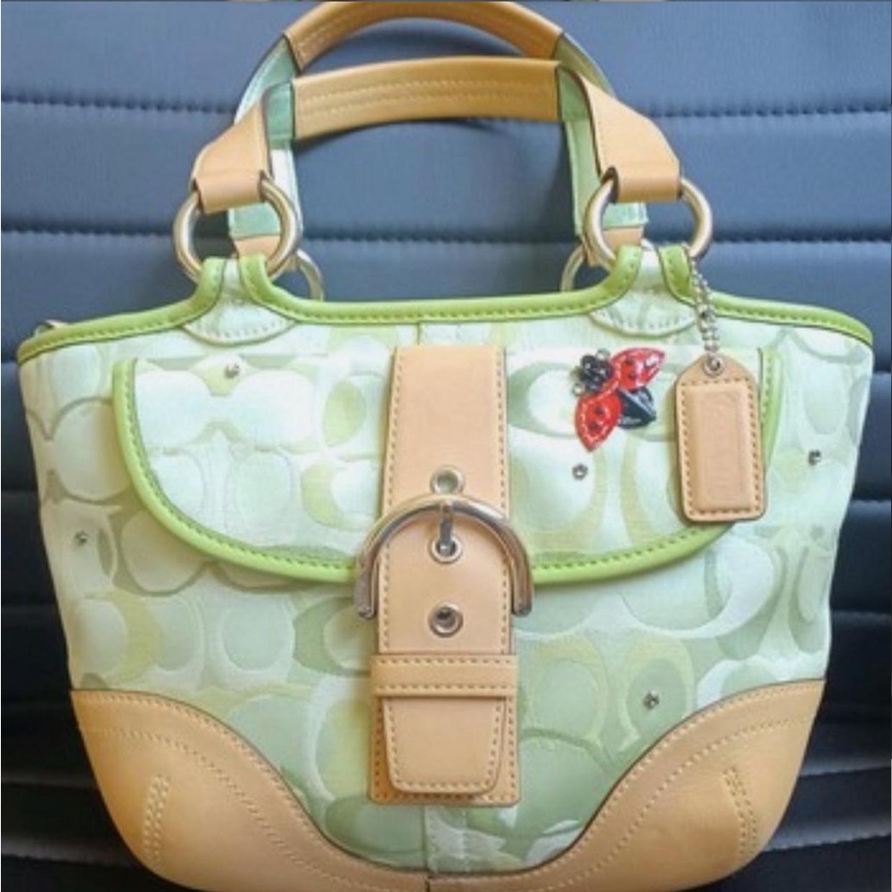 Coach 2004 Ladybug bag 🐞